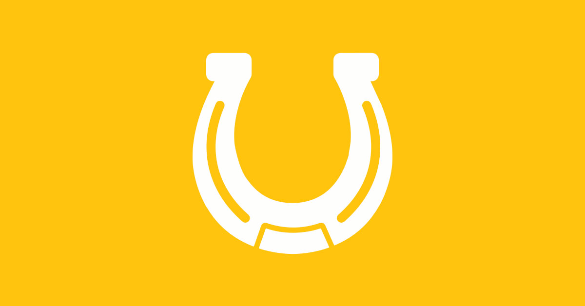 Lucky horseshoe